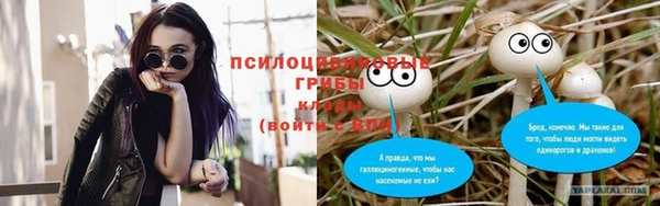 apvp Карталы