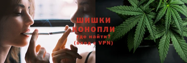 дурь Киреевск