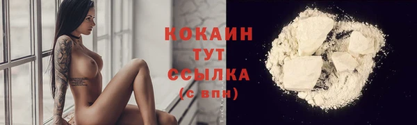 соль ск Нея