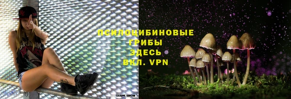 кокс Каменка