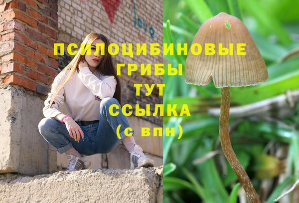 мескалин Карпинск