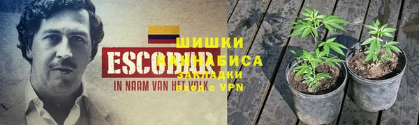 мдпв Касимов