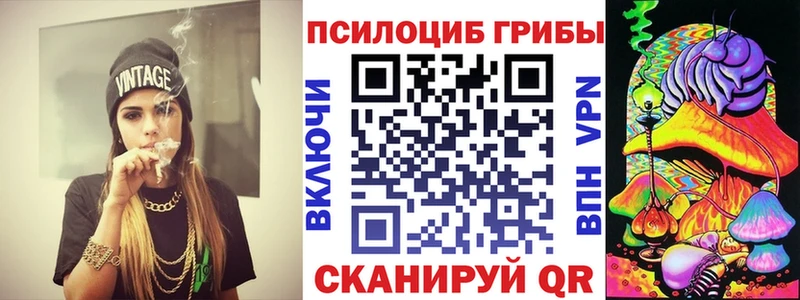 закладка  Карпинск  Галлюциногенные грибы GOLDEN TEACHER 